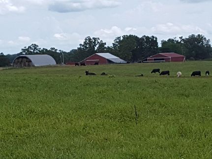 Ranch Property in Oregon County, Missouri