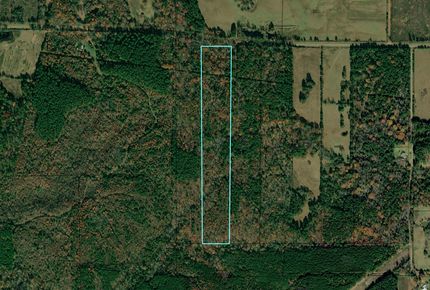 Ranch Property in Cass County, Texas