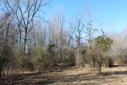Undeveloped Land in Warren County, Kentucky