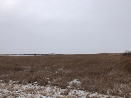 Undeveloped Land in Sargent County, North Dakota