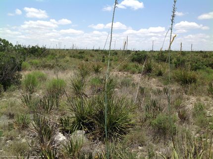 Recreational Property in Terrell County, Texas
