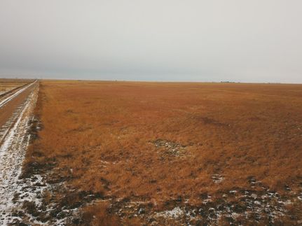 Farm Property in Texas County, Oklahoma