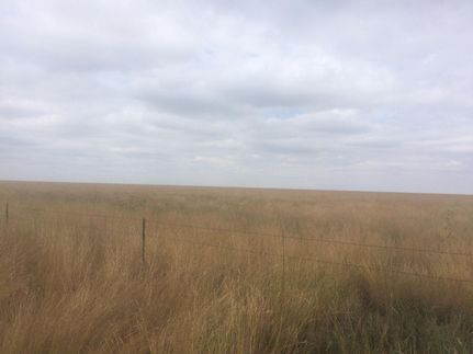 Undeveloped Land in Sherman County, Texas