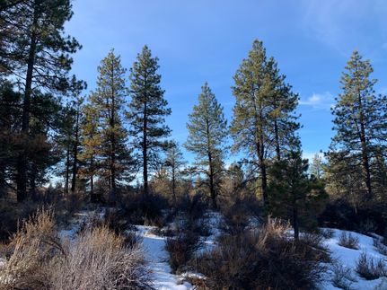 Hunting Land in Klamath County, Oregon