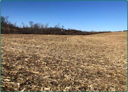 Farm Property in Tama County, Iowa