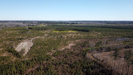 Farm Property in Orangeburg County, South Carolina