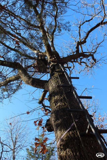 Property in Fulton County, Arkansas