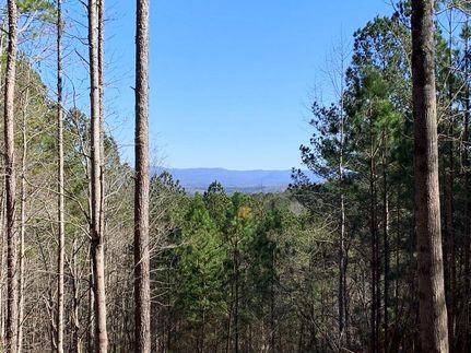 Timberland Property in Pickens County, Georgia