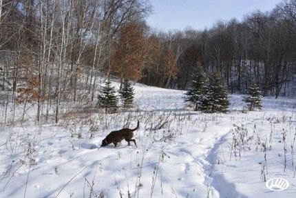 Hunting Land in Saint Croix County, Wisconsin