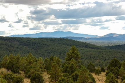 Timberland Property in Sandoval County, New Mexico