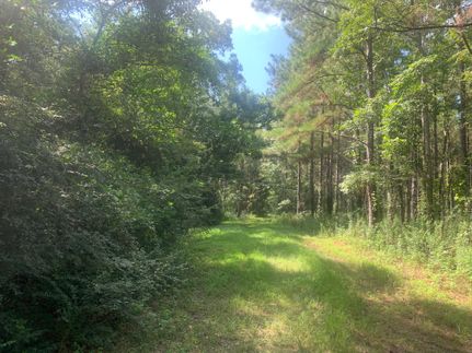 Ranch Property in Grady County, Georgia