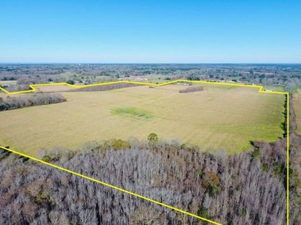 Undeveloped Land in Baldwin County, Alabama