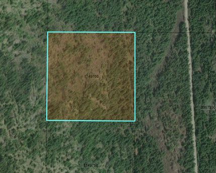 Hunting Land in Stevens County, Washington