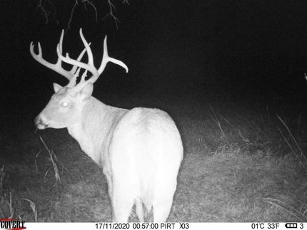 Ranch Property in Marion County, Kansas
