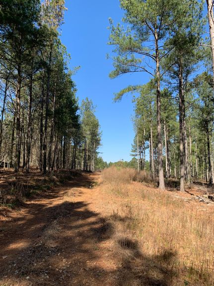 Ranch Property in Madison County, Georgia