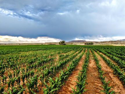 Ranch Property for sale in Big Horn County, Wyoming