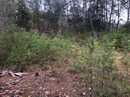 Residential Property in Claiborne County, Tennessee