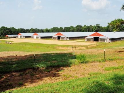 Ranch Property in Amite County, Mississippi