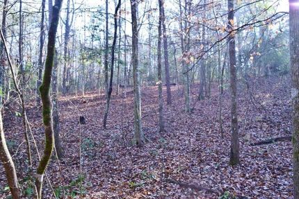 Farm Property in Pike County, Mississippi