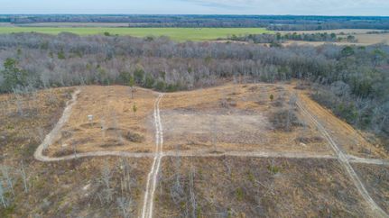 Hunting Land in Turner County, Georgia