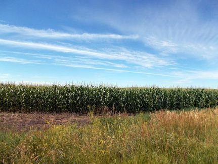 Undeveloped Land in Stark County, North Dakota