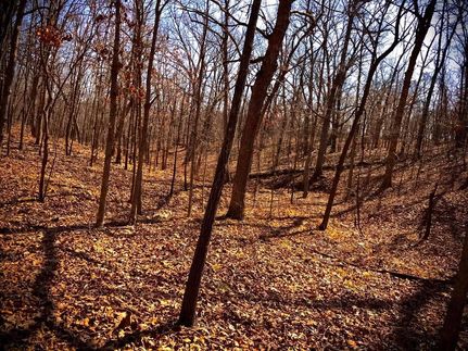Residential Property in Camden County, Missouri