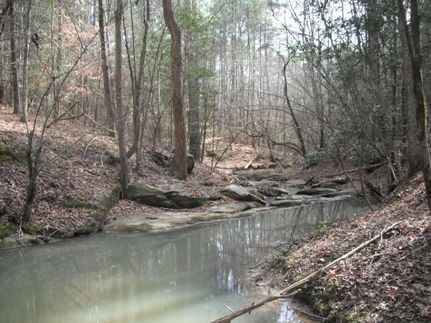 Farm Property in Fairfield County, South Carolina