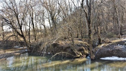 Farm Property in Perry County, Tennessee