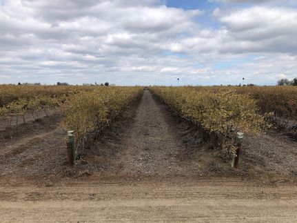 Farm Property in Fresno County, California