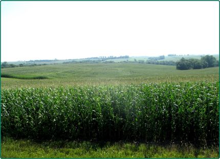 Property in Page County, Iowa