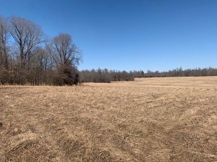 Farm Property in Lyon County, Kentucky