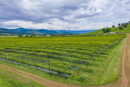 Property in Douglas County, Oregon