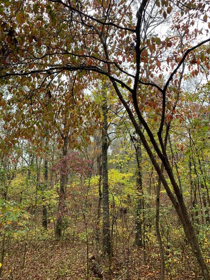 Farm Property in Adair County, Oklahoma