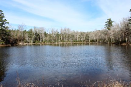 Farm Property in Taylor County, Georgia