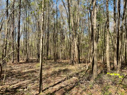 Farm Property in Crenshaw County, Alabama