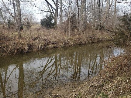 Farm Property in Shelby County, Indiana