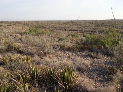Hunting Land in Brewster County, Texas