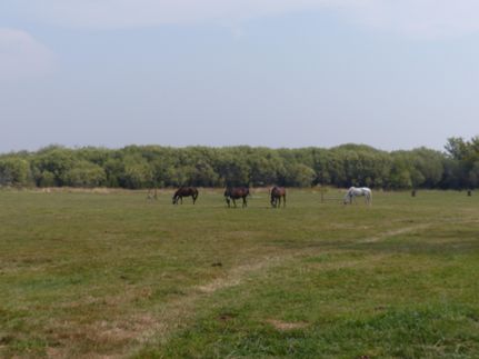 Recreational Property in Harney County, Oregon