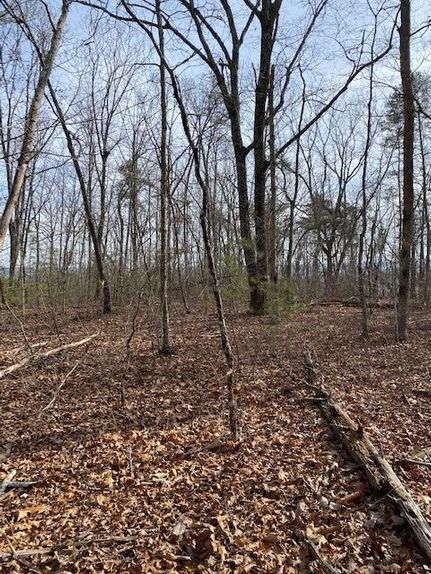 Farm Property in Bledsoe County, Tennessee