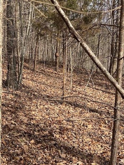 Ranch Property in Bledsoe County, Tennessee