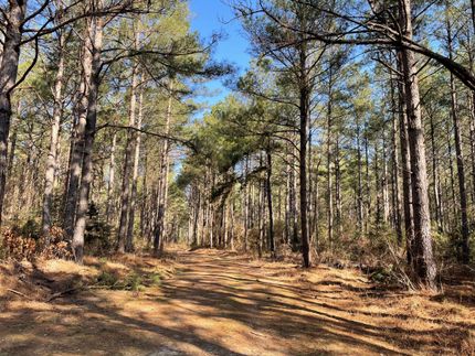 Hunting Land in Southampton County, Virginia