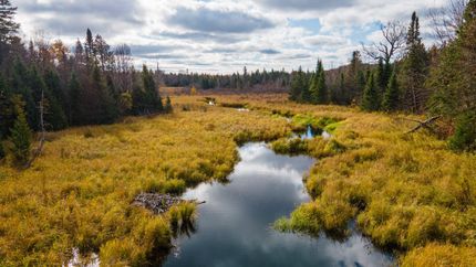 Property in Iron County, Wisconsin