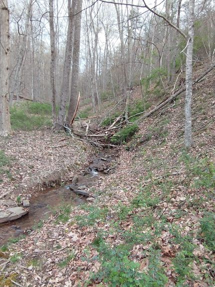 Ranch Property in Hampshire County, West Virginia