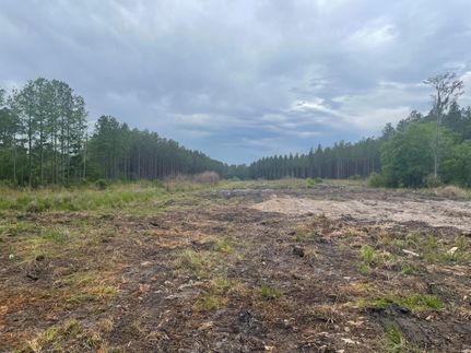 Property in Ware County, Georgia