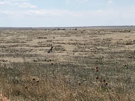 Property for sale in Weld County, Colorado