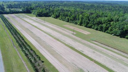 Farm Property in Thomas County, Georgia