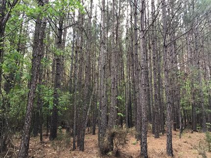 Ranch Property in Edgefield County, South Carolina