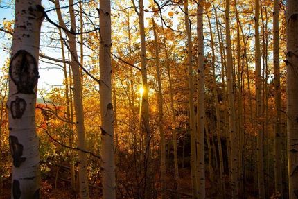Undeveloped Land in Routt County, Colorado