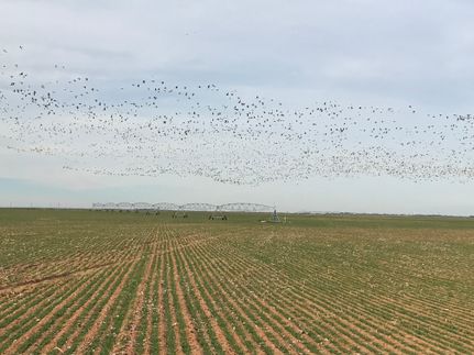 Farm Property in Haskell County, Texas