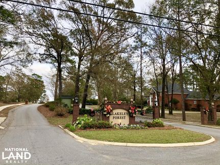 Waterfront Property in Baldwin County, Alabama